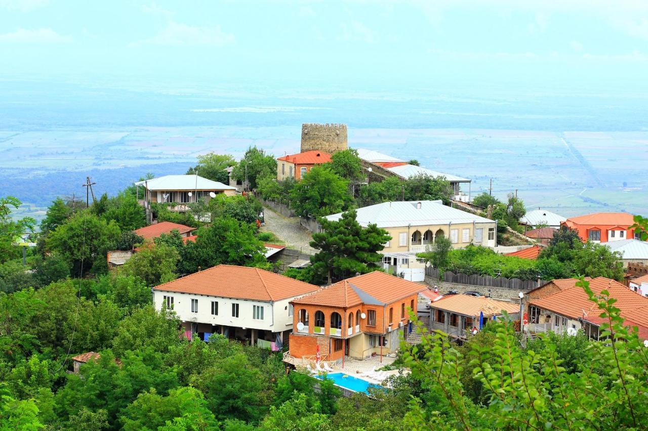 Guest House Pirosmani 60 Sighnaghi Luaran gambar
