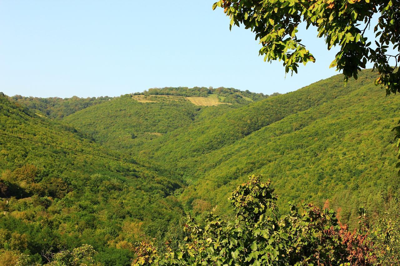 Guest House Pirosmani 60 Sighnaghi Luaran gambar